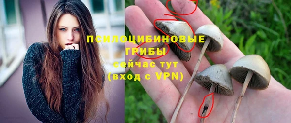 a pvp Баксан