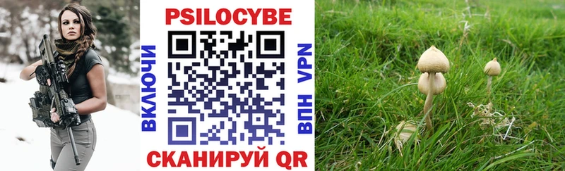 Галлюциногенные грибы Psilocybe  omg как зайти  Давлеканово 
